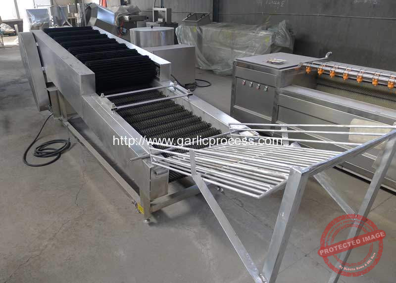 Garlic-Bulb-Dry-Cleaning-Machine-for-New-Zealand-Customer